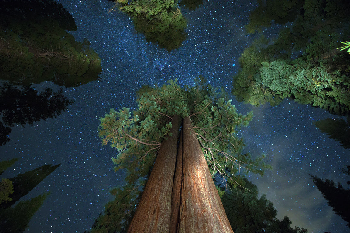 Big Blue, Sequoia National Forest
