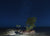 Mangrove, Florida Keys