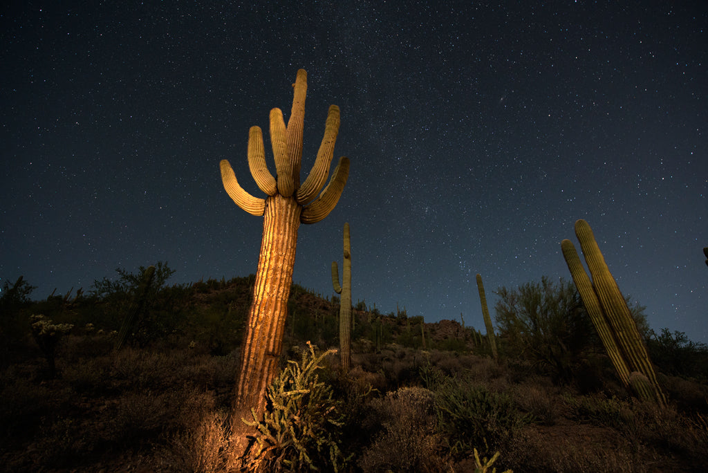 Saguaro 3, Phoenix
